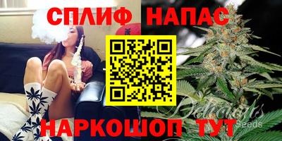 наркотики Малгобек
